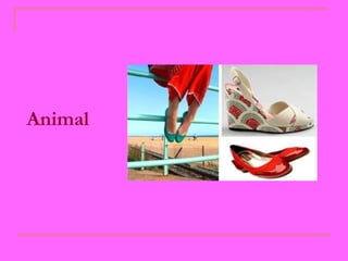 Animal   