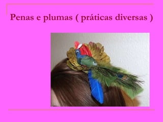 Penas e plumas ( práticas diversas )   