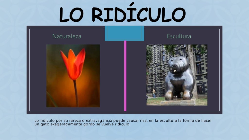 Categorias esteticas