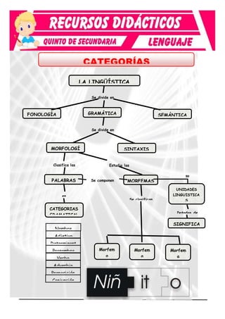 Categorias Variables Para Quinto De Secundaria