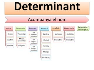 Determinant
Acompanya el nom
Article

Demostratiu

Possessiu

Definit

Proximitat

De
primera
persona

Indefinit

Menys
proximitat

Personal

Llunyania

Numeral

Indefinit

Quantitatiu

Cardinal

Variables

Variables

De
segona
persona

Ordinal

Invariables

Invariables

De
tercera
persona

Partitiu
Múltiple
Distributiu

Exclamatiu /
Interrogatiu

 