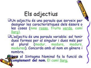 Els adjectius
 Un adjectiu és una paraula que serveix per
designar les característiques dels éssers o
les coses (nina rossa, fruita verda, camí
llarg).
 L’adjectiu és una paraula variable: sol tenir
dues formes per al singular i dues més per
al plural (madur, madura, madurs,
madures). Concorda amb el nom en gènere i
nombre.
 Dins el Sintagma Nominal fa la funció de
complement del nom. El camí llarg.

 