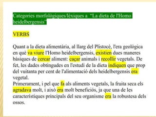 Categories morfològiques, homo h.