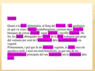 Categories morfològiques, homo h.