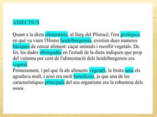 Categories morfològiques, homo h.