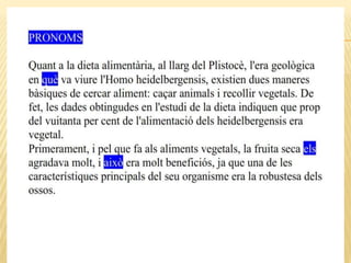 Categories morfològiques, homo h.