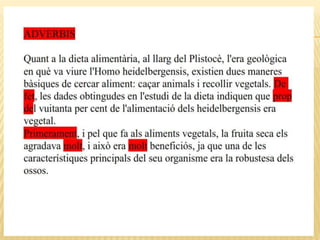 Categories morfològiques, homo h.