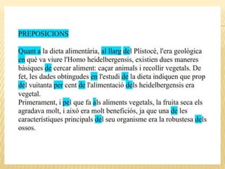 Categories morfològiques, homo h.