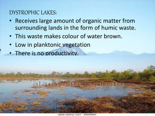 DYSTROPHIC LAKES:
• Receives large amount of organic matter from
surrounding lands in the form of humic waste.
• This waste makes colour of water brown.
• Low in planktonic vegetation
• There is no productivity.
 