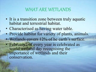 WHAT ARE WETLANDS
• It is a transition zone between truly aquatic
habitat and terrestrial habitat.
• Characterised as having water table.
• Provide habitat for variety of plants, animals.
• Wetlands covers 12% of he earth’s surface.
• February2 of every year is celebrated as
world wetland day recognising the
importance of wetlands and their
conservation.
 