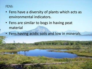 FENS:
• Fens have a diversity of plants which acts as
environmental indicators.
• Fens are similar to bogs in having peat
material
• Fens having acidic soils and low in minerals.
 