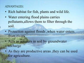 ADVANTAGES:
• Rich habitat for fish, plants and wild life.
• Water entering flood plains carries
pollutants,allows them to filter through the
soil.
• Protection against floods ,when water enters
from rivers
• Acts as aquifers in soil by groundwater
recharge
• As they are productive areas ,they can be used
for agriculture.
 
