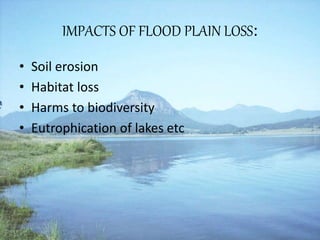 IMPACTS OF FLOOD PLAIN LOSS:
• Soil erosion
• Habitat loss
• Harms to biodiversity
• Eutrophication of lakes etc
 