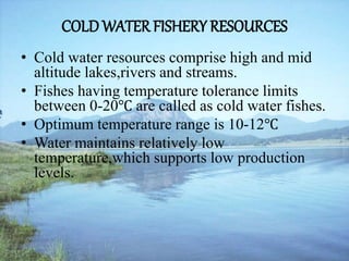 COLD WATER FISHERY RESOURCES
• Cold water resources comprise high and mid
altitude lakes,rivers and streams.
• Fishes having temperature tolerance limits
between 0-20℃ are called as cold water fishes.
• Optimum temperature range is 10-12℃
• Water maintains relatively low
temperature,which supports low production
levels.
 