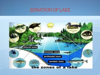 ZONATION OF LAKE
 