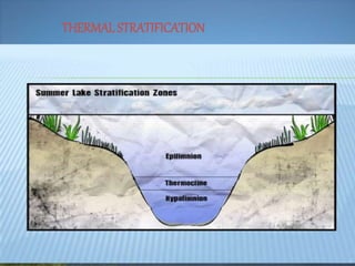 THERMALSTRATIFICATION
 