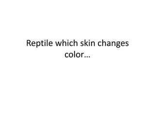 Reptile which skin changes
color…
 