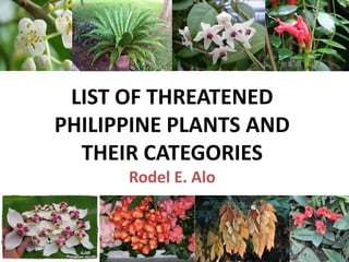 LIST OF THREATENED
PHILIPPINE PLANTS AND
THEIR CATEGORIES
Rodel E. Alo

 