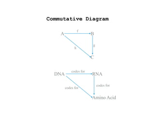 Commutative Diagram
A
C
B
f
g
h
DNA
Amino Acid
RNA
codes for
codes for
codes for
