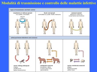 Modalità di trasmissione e controllo delle malattie infettive
 