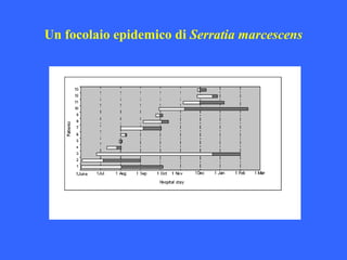 Un focolaio epidemico di Serratia marcescens
 