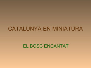 CATALUNYA EN MINIATURA
EL BOSC ENCANTAT
 