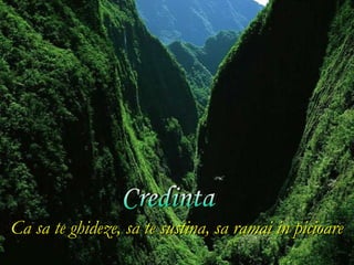 Ca sa te ghideze, sa te sustina, sa ramai in picioare
 