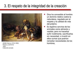3. El respeto de la integridad de la creación Dios ha concedido al hombre un dominio relativo sobre la naturaleza, regulado por el respeto y la calidad de vida del prójimo. Es legítimo servirse de los animales como alimento y vestido; pero no hacerlos sufrir inútilmente, sacrificarlos sin necesidad, o invertir en ellos sumas que podrían remediar necesidades de los hombres. ADAM, Benno (1812-1892) Perros y cachorros 1853 Colección privada 