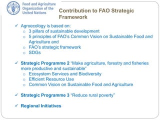 Agroecology in FAO | PPTX