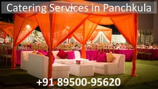Catering Services in Panchkula
+91 89500-95620
 