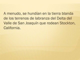 A menudo, se hundían en la tierra blanda
de los terrenos de labranza del Delta del
Valle de San Joaquín que rodean Stockton,
California.
 