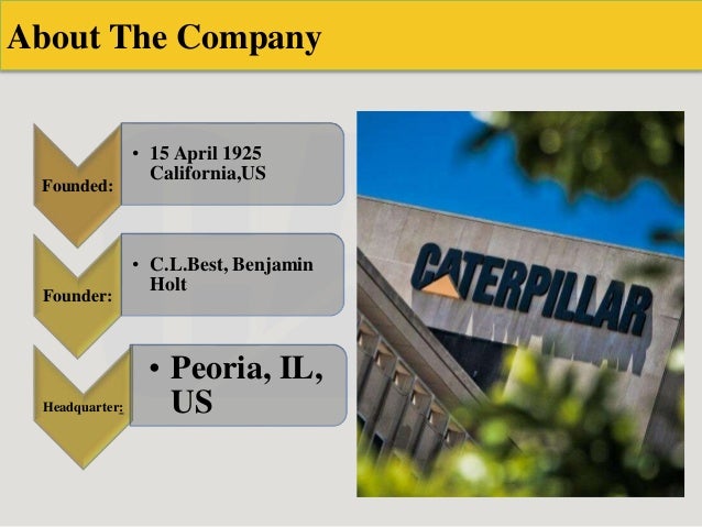 Free cat template image