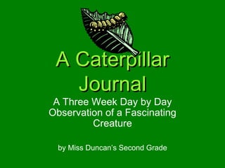A Caterpillar Journal A Three Week Day by Day Observation of a Fascinating Creature by Miss Duncan’s Second Grade 