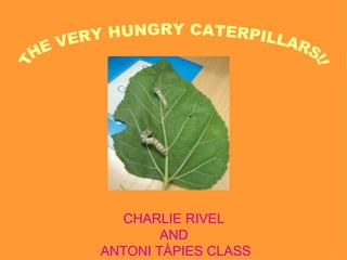 CHARLIE RIVEL
        AND
ANTONI TÀPIES CLASS
 