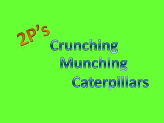 2P’s Crunching Munching Caterpillars 