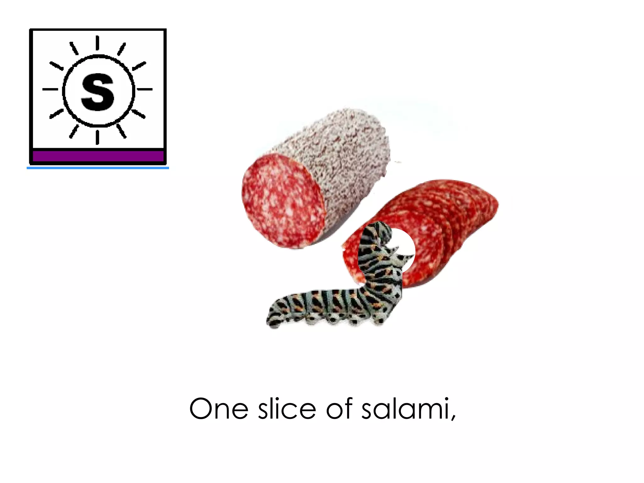One slice of salami,
