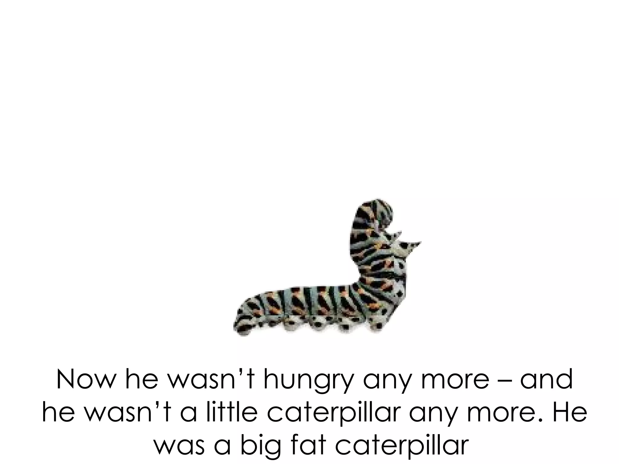 Now he wasn’t hungry any more – and
he wasn’t a little caterpillar any more. He
was a big fat caterpillar