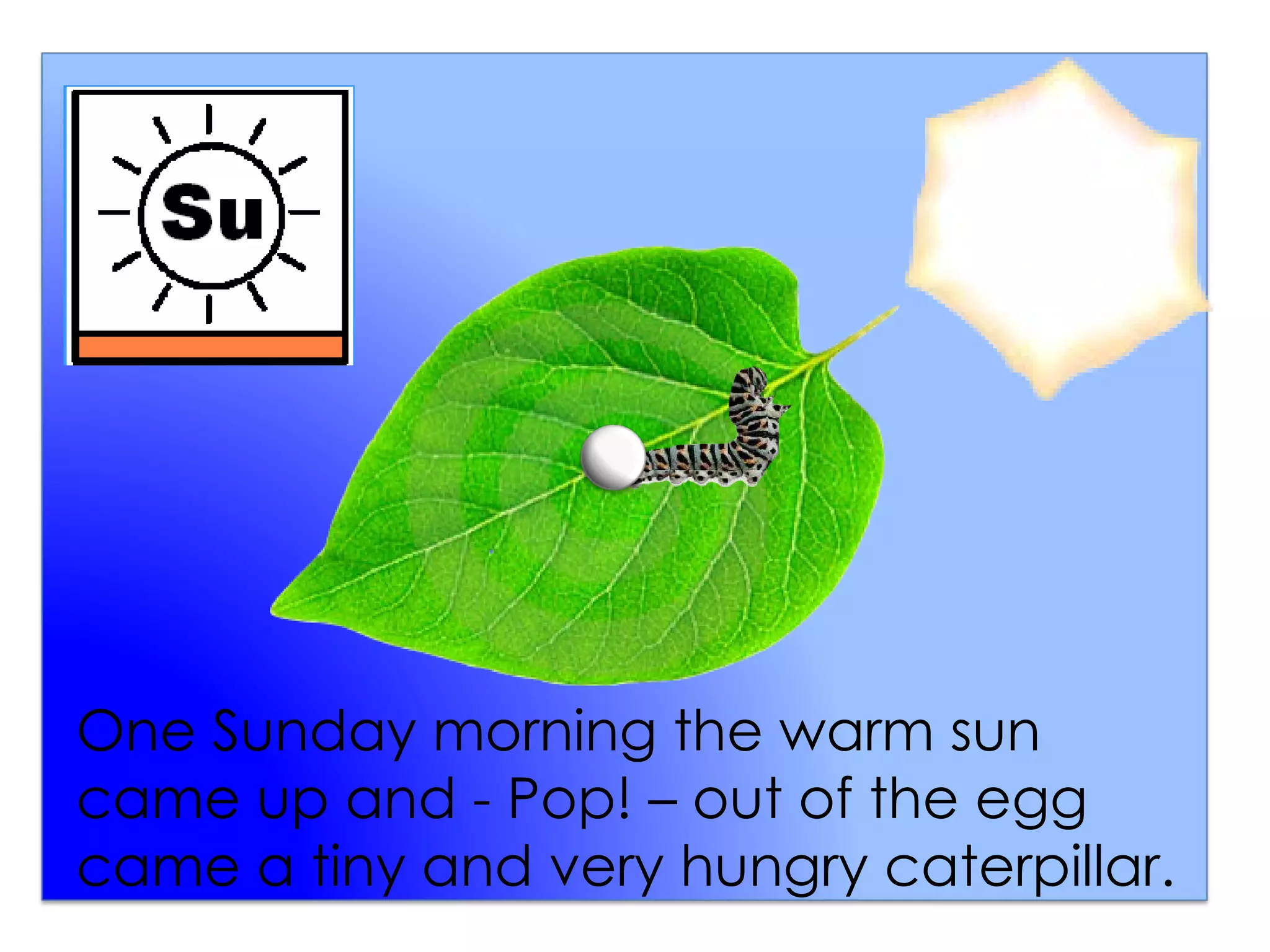 One Sunday morning the warm sun
came up and - Pop! – out of the egg
came a tiny and very hungry caterpillar.