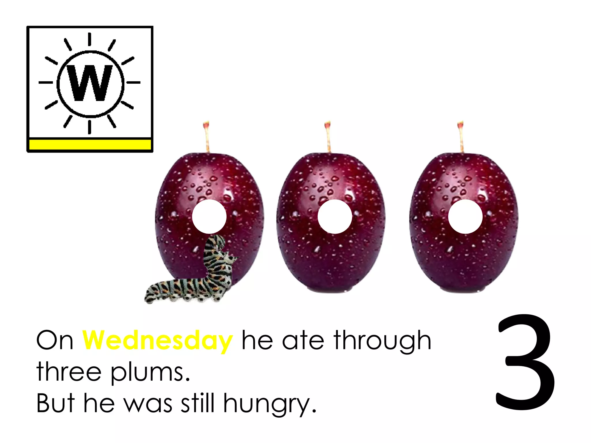 On Wednesday he ate through
three plums.
But he was still hungry. 3