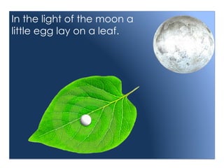 In the light of the moon a
little egg lay on a leaf.
 