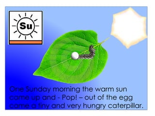 One Sunday morning the warm sun
came up and - Pop! – out of the egg
came a tiny and very hungry caterpillar.
 