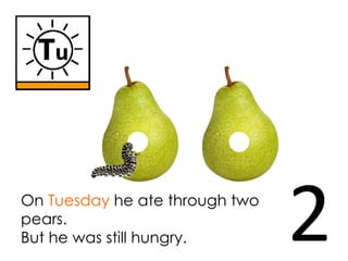 On Tuesday he ate through two
pears.
But he was still hungry.        2
 