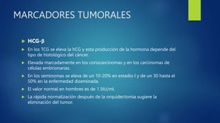 MARCADORES TUMORALES
 HCG-β
 En los TCG se eleva la hCG y esta producción de la hormona depende del
tipo de histológico del cáncer.
 Elevada marcadamente en los coriocarcinomas y en los carcinomas de
células embrionarias.
 En los seminomas se eleva de un 10-20% en estadio I y de un 30 hasta el
50% en la enfermedad diseminada.
 El valor normal en hombres es de 1.5IU/ml.
 La rápida normalización después de la orquidectomia sugiere la
eliminación del tumor.
 