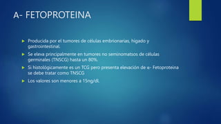 Α- FETOPROTEINA
 Producida por el tumores de células embrionarias, hígado y
gastrointestinal.
 Se eleva principalmente en tumores no seminomatsos de células
germinales (TNSCG) hasta un 80%.
 Si histológicamente es un TCG pero presenta elevación de α- Fetoproteina
se debe tratar como TNSCG
 Los valores son menores a 15ng/dl.
 