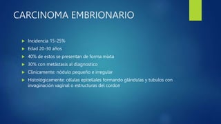 CARCINOMA EMBRIONARIO
 Incidencia 15-25%
 Edad 20-30 años
 40% de estos se presentan de forma mixta
 30% con metástasis al diagnostico
 Clínicamente: nódulo pequeño e irregular
 Histológicamente: células epiteliales formando glándulas y tubulos con
invaginación vaginal o estructuras del cordon
 