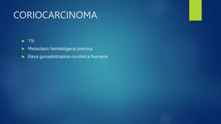 CORIOCARCINOMA
 1%
 Metastasis hematógena precosz
 Eleva gonadotropina coriónica humana
 