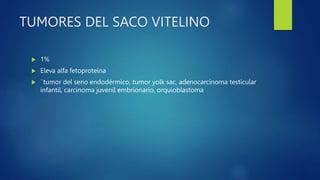 TUMORES DEL SACO VITELINO
 1%
 Eleva alfa fetoproteina
 ¨tumor del seno endodérmico, tumor yolk sac, adenocarcinoma testicular
infantil, carcinoma juvenil embrionario, orquioblastoma
 
