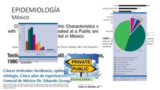 EPIDEMIOLOGÍA
México
6.5 m vs.13.8 m
 