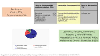 Leucemia, Sarcoma, Leiomioma,
Fibroma y Neurofibromas
Metastásico (Próstata, Pulmón, Riñón,
Melanoma y Cólon). Bilaterales 8-15%
68%
21%
8% 2%
1%
Germinales mixos Embrionarios puros
Teratomas Saco Vitelino
Coriocarcinomas
Cheng L, Albers P, Berney DM, Feldman DR, Daugaard G, Gilligan T, Looijenga LHJ. Testicular cancer. Nat Rev Dis Primers. 2018 Oct 5;4(1):29. doi: 10.1038/s41572-018-
Seminomas
Clásico 95%,
Esparmatocítico 5%
 