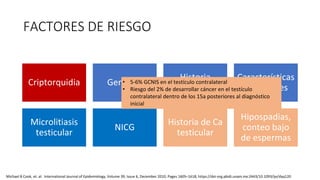 FACTORES DE RIESGO
Criptorquidia Genética
Historia
familiar
Características
perinatales
Microlitiasis
testicular
NICG
Historia de Ca
testicular
Hipospadias,
conteo bajo
de espermas
Michael B Cook, et. al. International Journal of Epidemiology, Volume 39, Issue 6, December 2010, Pages 1605–1618, https://doi-org.pbidi.unam.mx:2443/10.1093/ije/dyq120
• 5-6% GCNIS en el testículo contralateral
• Riesgo del 2% de desarrollar cáncer en el testículo
contralateral dentro de los 15a posteriores al diagnóstico
inicial
 